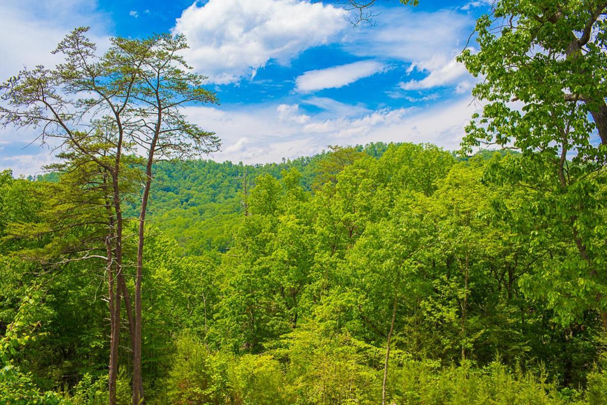 Nature'S Paradise Sevierville Esterno foto